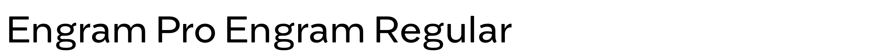 Engram Pro Engram Regular